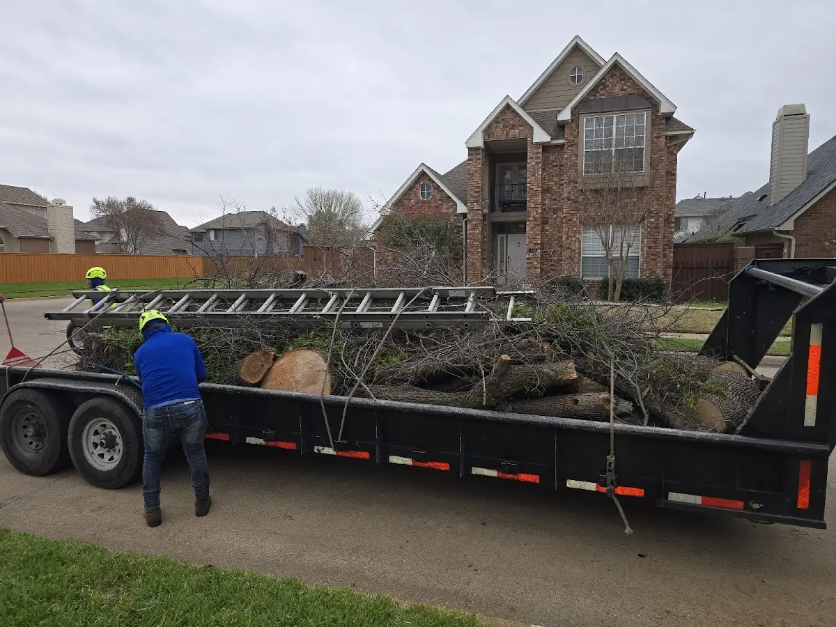 Expert Crown Reduction with proper safety equipment in Royse City